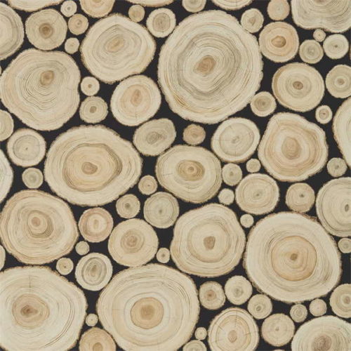 Alnwick Logs 216510